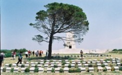 2 Days Tour to Gallipoli and Troy