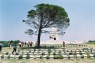 2 Days Tour to Gallipoli and Troy